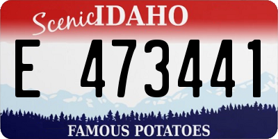 ID license plate E473441