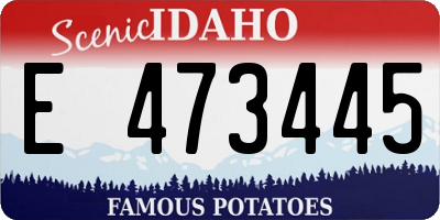 ID license plate E473445