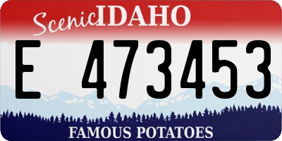 ID license plate E473453