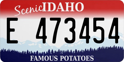 ID license plate E473454