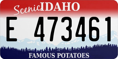 ID license plate E473461