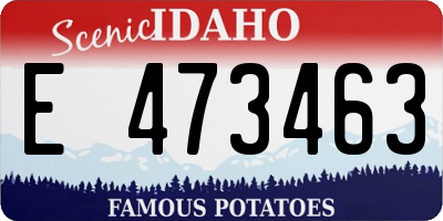 ID license plate E473463