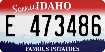 ID license plate E473486