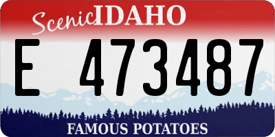ID license plate E473487