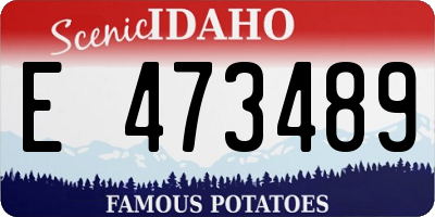 ID license plate E473489