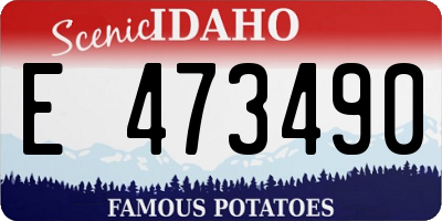 ID license plate E473490