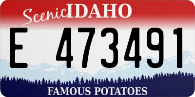 ID license plate E473491