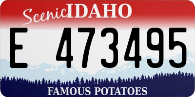 ID license plate E473495