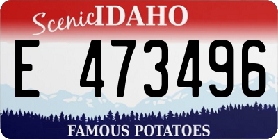 ID license plate E473496
