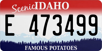 ID license plate E473499
