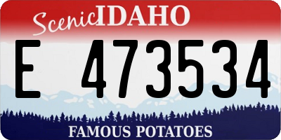 ID license plate E473534