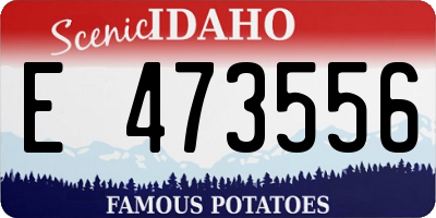 ID license plate E473556