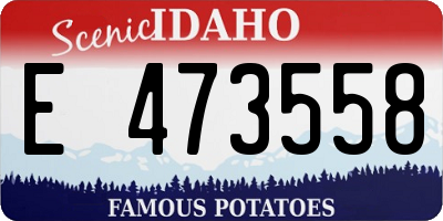 ID license plate E473558