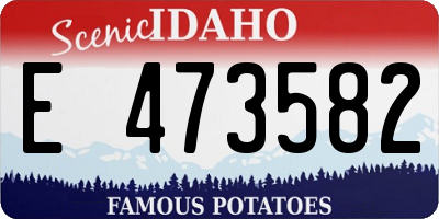 ID license plate E473582