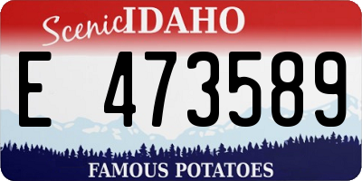 ID license plate E473589