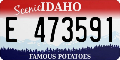 ID license plate E473591