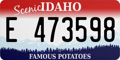 ID license plate E473598