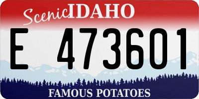 ID license plate E473601
