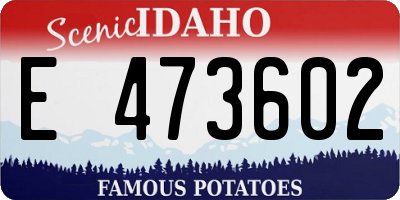 ID license plate E473602