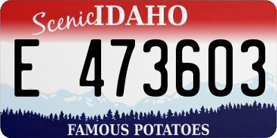 ID license plate E473603