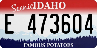 ID license plate E473604