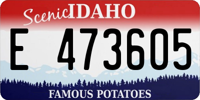 ID license plate E473605