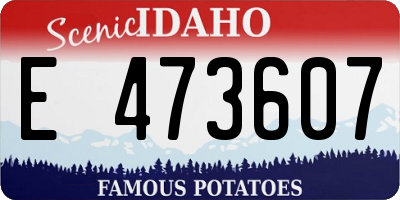 ID license plate E473607