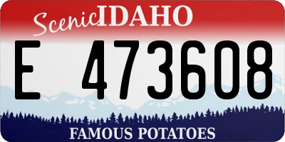 ID license plate E473608