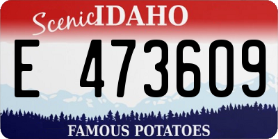 ID license plate E473609