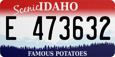ID license plate E473632