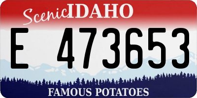 ID license plate E473653