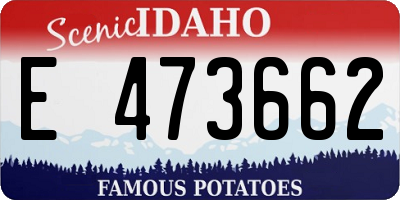 ID license plate E473662