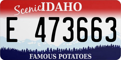 ID license plate E473663