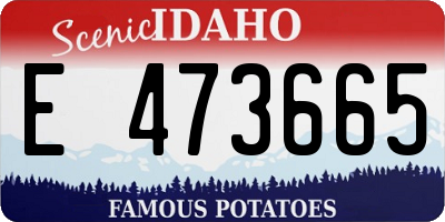 ID license plate E473665