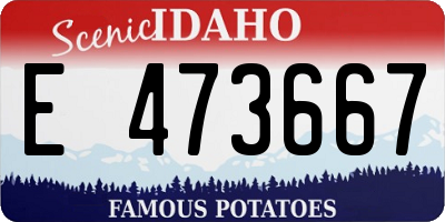 ID license plate E473667