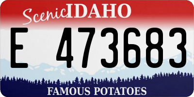 ID license plate E473683