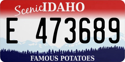ID license plate E473689