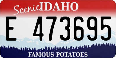 ID license plate E473695