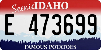 ID license plate E473699