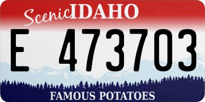 ID license plate E473703
