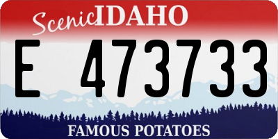 ID license plate E473733