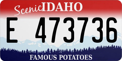 ID license plate E473736