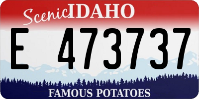 ID license plate E473737