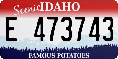 ID license plate E473743