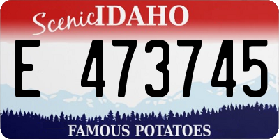 ID license plate E473745