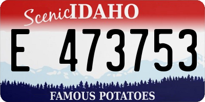 ID license plate E473753