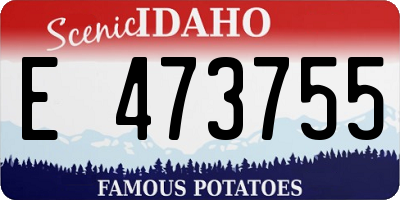 ID license plate E473755