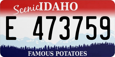 ID license plate E473759