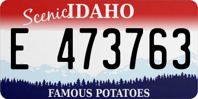 ID license plate E473763