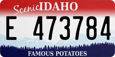 ID license plate E473784